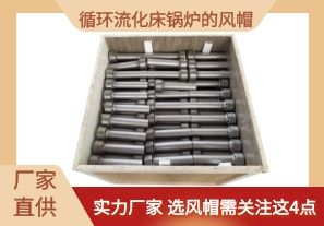 循环流化床锅炉的风帽-选风帽需关注这4点[江河]